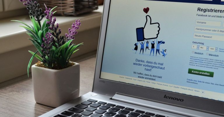 Lavanta saksısının yanında Facebook giriş ekranı açık dizüstü bilgisayar