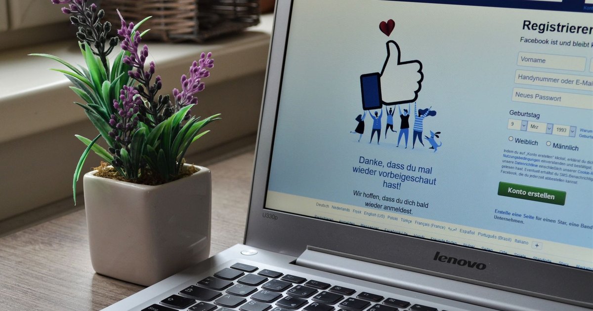 Lavanta saksısının yanında Facebook giriş ekranı açık dizüstü bilgisayar